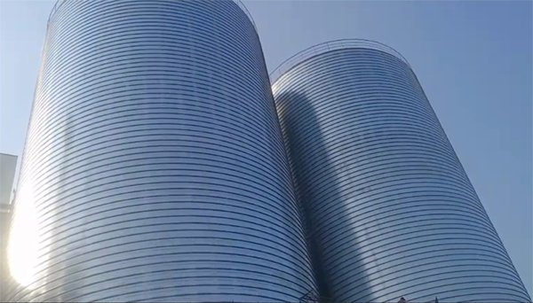 宁县2座混凝土高架卷板仓